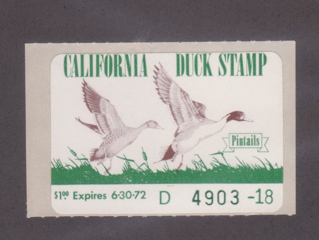 US California 1 state Duck Stamp 1971 1 Pintails mint never hinged scarce