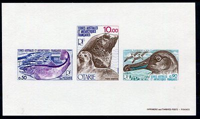 TAAF French Southern  Antarctic Terr MNH 1977 Birds Fish Seals  Deluxe SS 